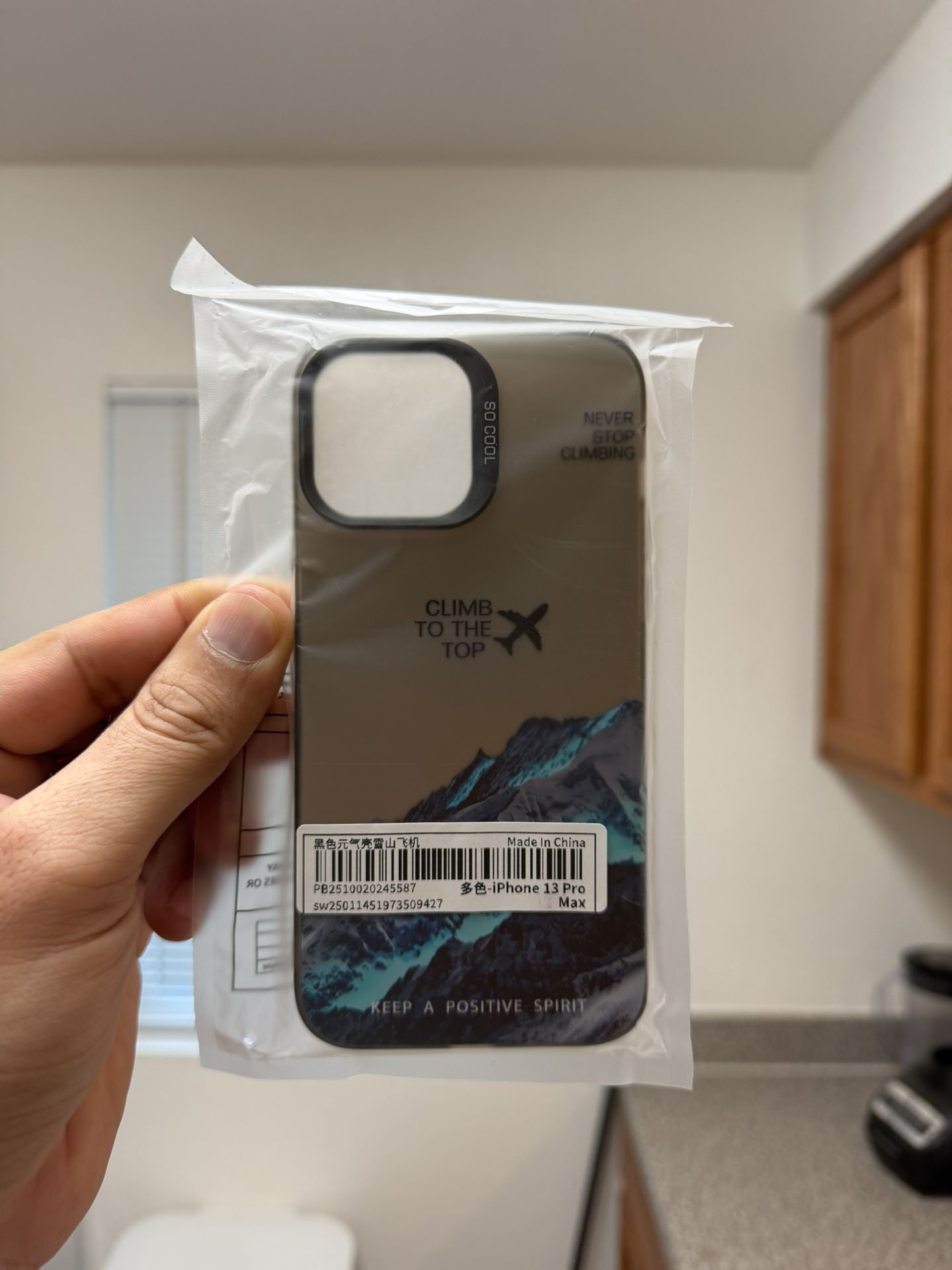 iPhone 13 Pro Max Case