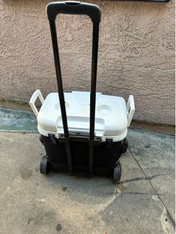 Cooler
