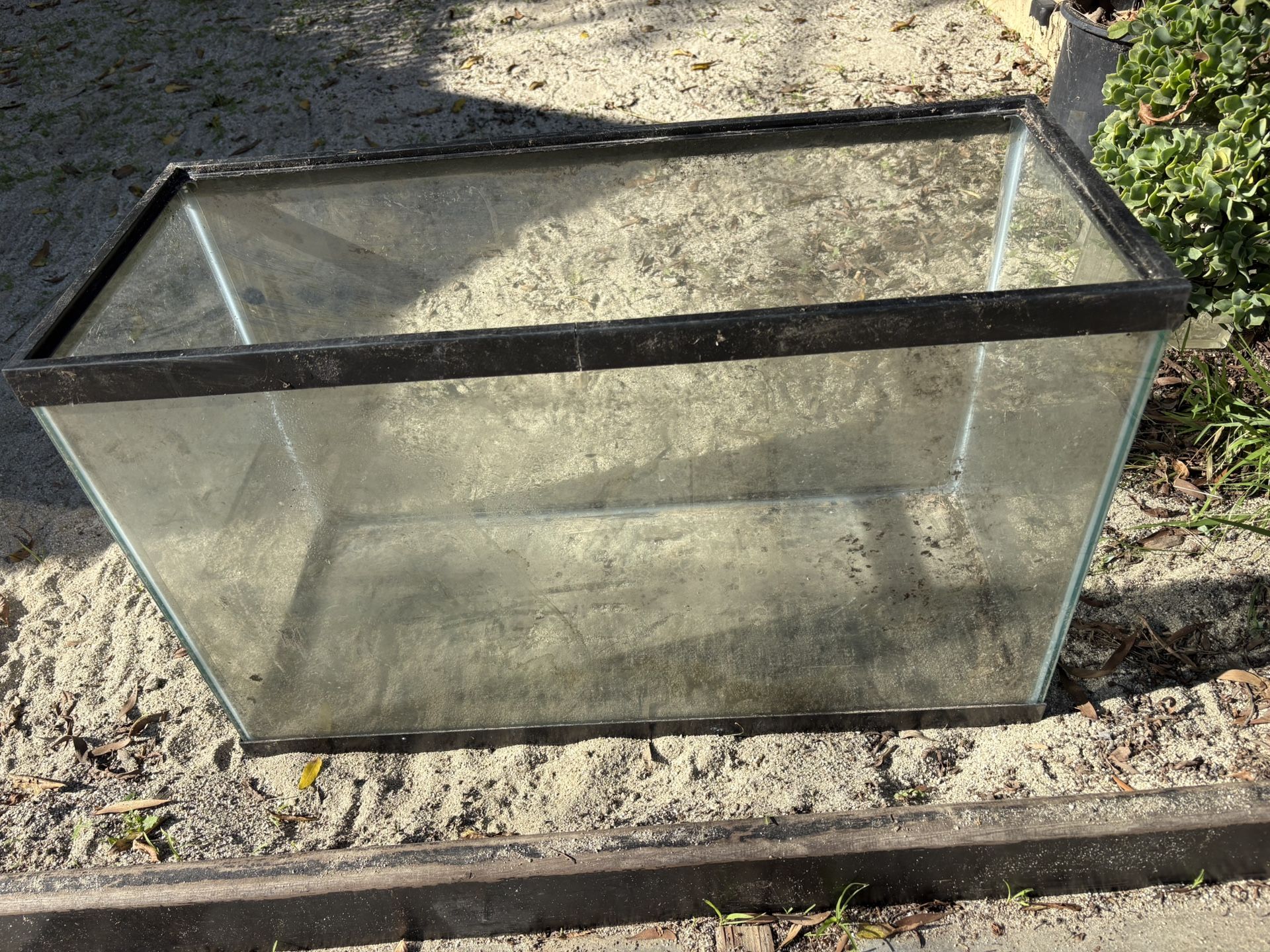 Fish Tank W30”x D12”xH19”