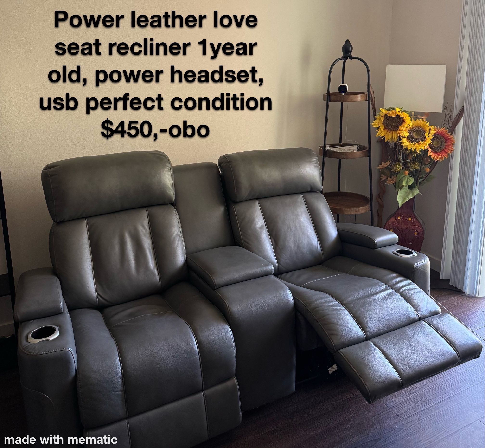 Love Seat Power Recliner