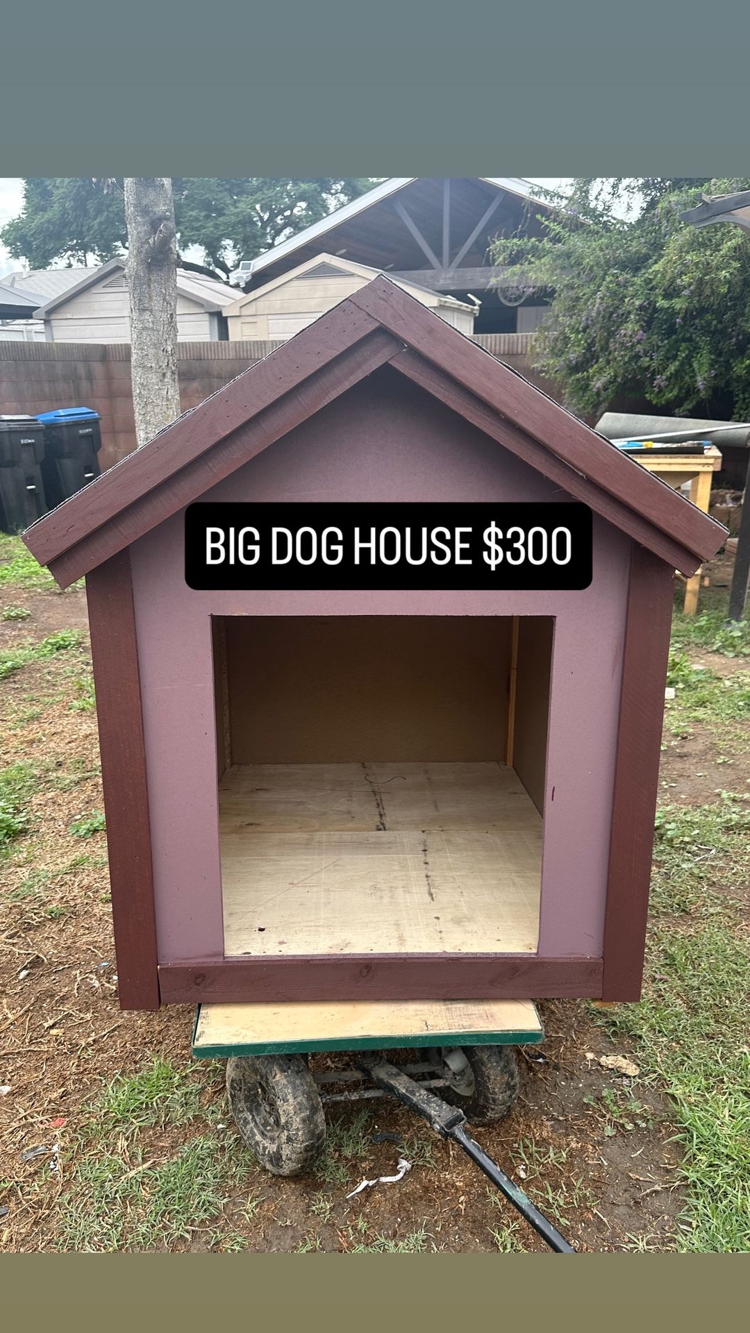 Dog House Hand Made Casa Para Perros Grande Large Dog Size Grande