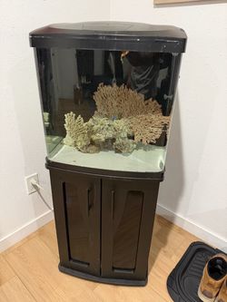 32 gallon biocube