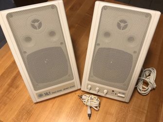 Multimedia or PC Speakers