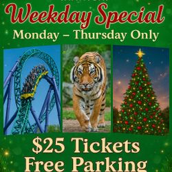 🎄✨ BUSCH GARDENS TAMPA BAY HOLIDAY SPECIAL ✨🎄 