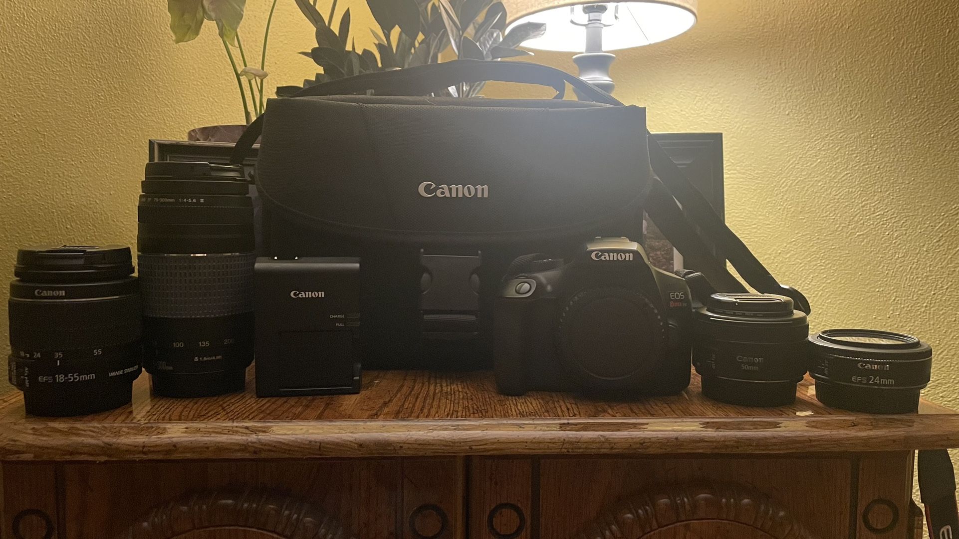 Canon EOS Rebel T6 Kit + 2 add. lenses