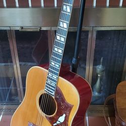 Reduced! 1976 Gibson Dove, Will Need Work.