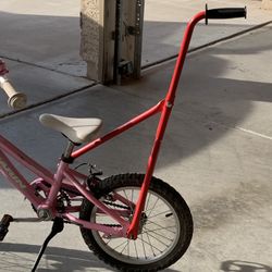 Bicycle Trainer & Escort