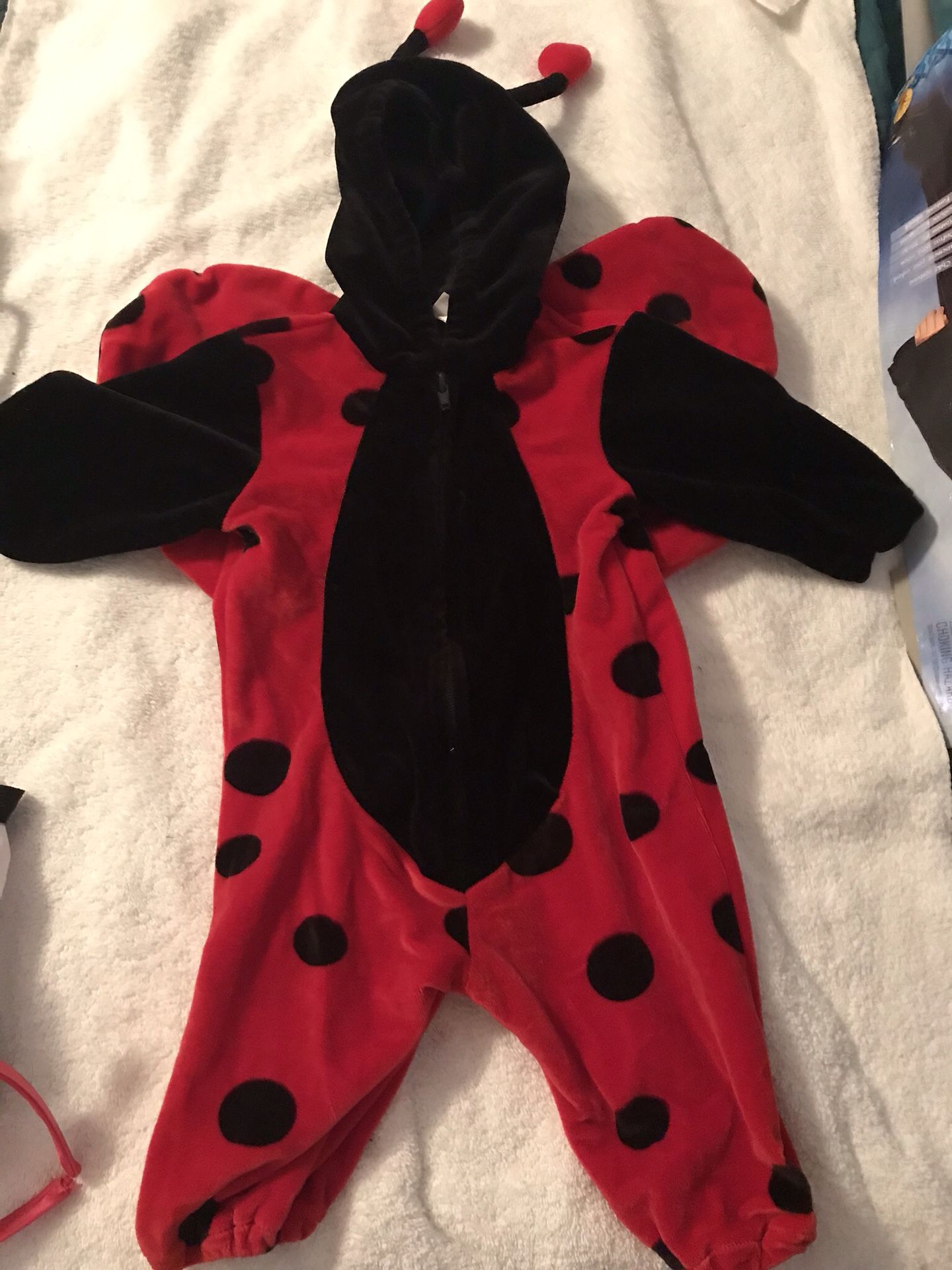 Lady bug costume.