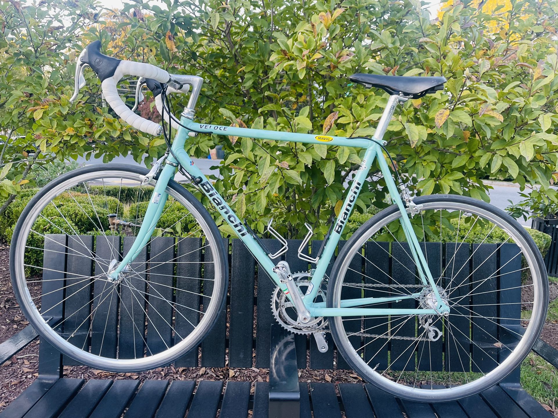 Beautiful Bicycle Bianchi Road Bike