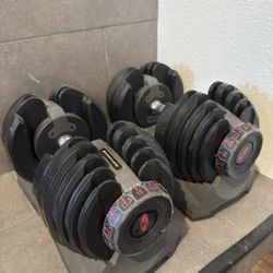 Bowflex Selecttech 552 Adjustable Dumbbells