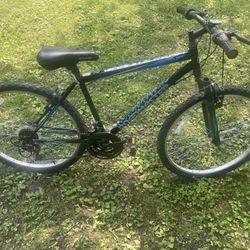Roadmaster  26 inch 18 speed bike