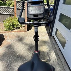 Schwinn 170 Upright Exercise Bike 29 Workout Programs