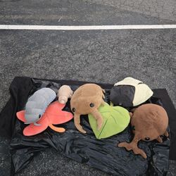 Insect Plushies W/leaves Plus 2 Spiders