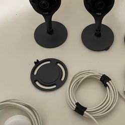 Nest Cameras 