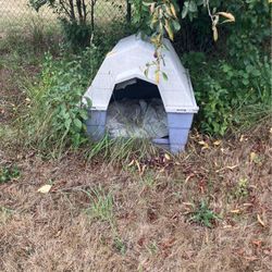 Dog House 
