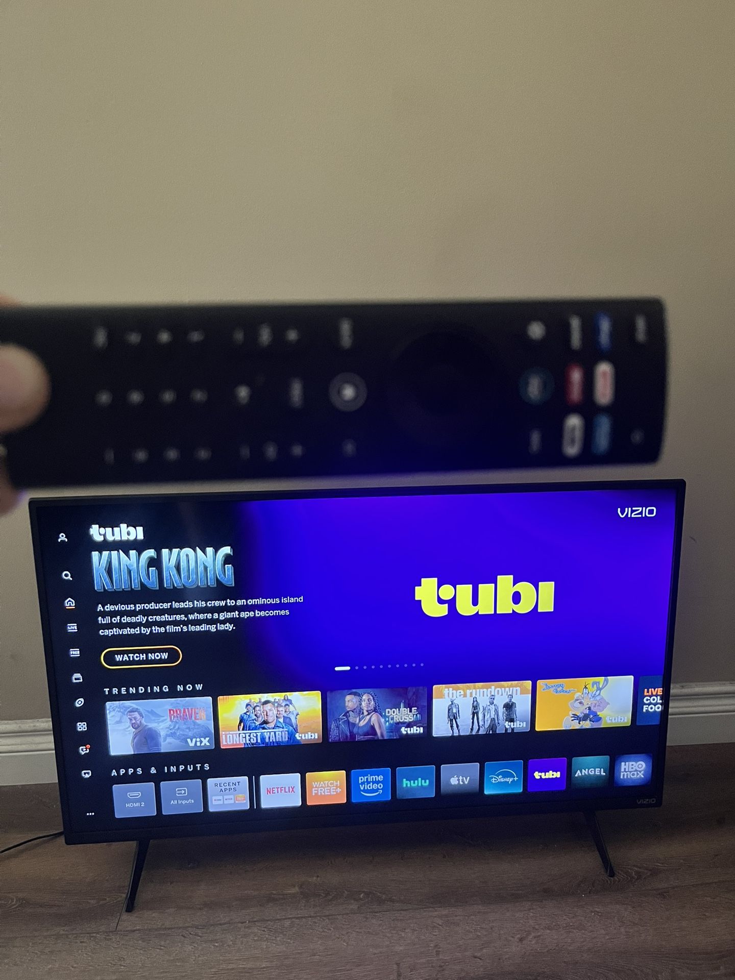Vizio 32" Inch D Series Television