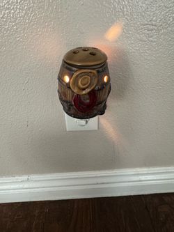 Western wax warmer plug