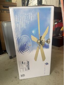 Brand New Fan
