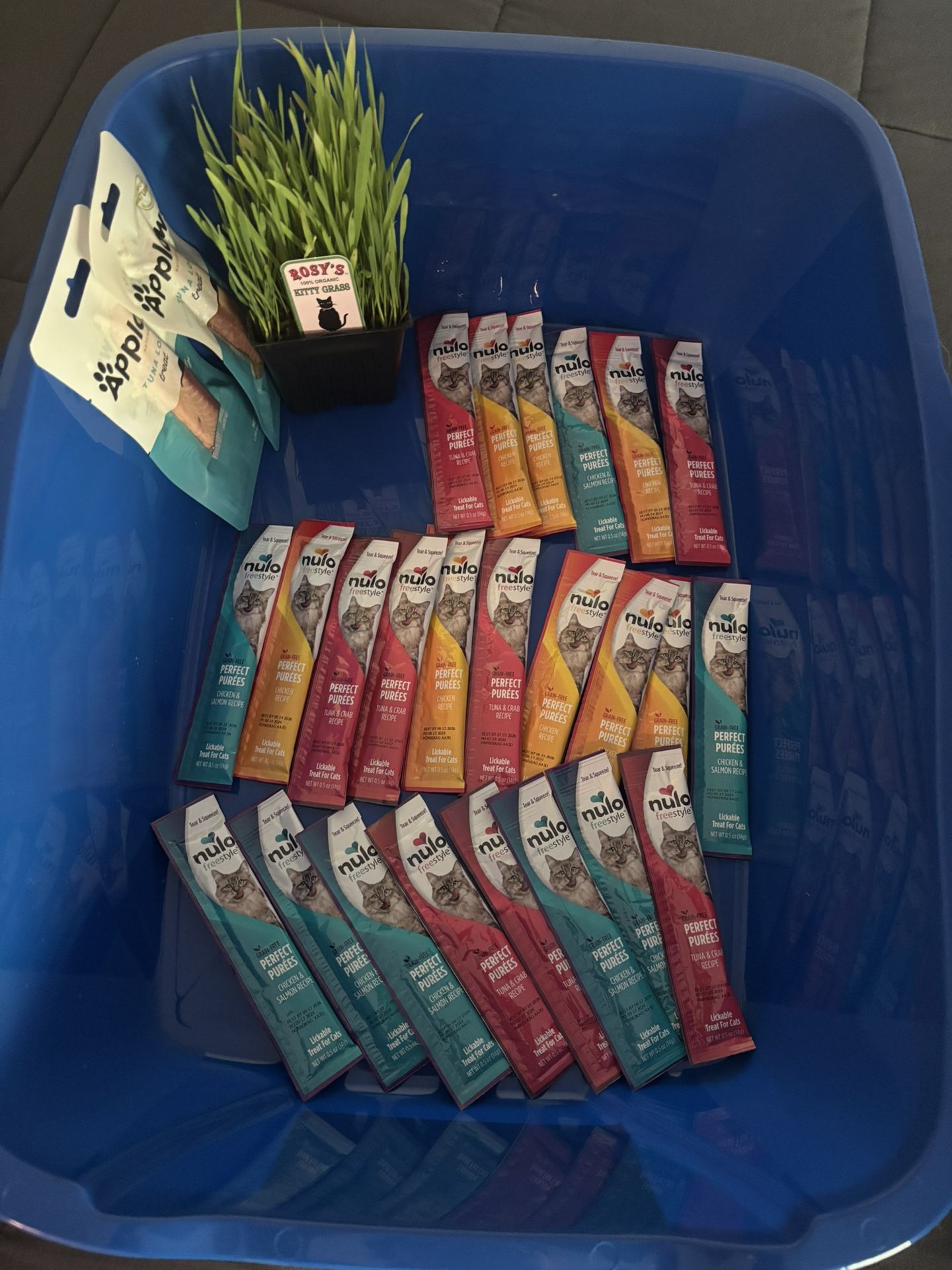 Cat Litter Pan + Treats