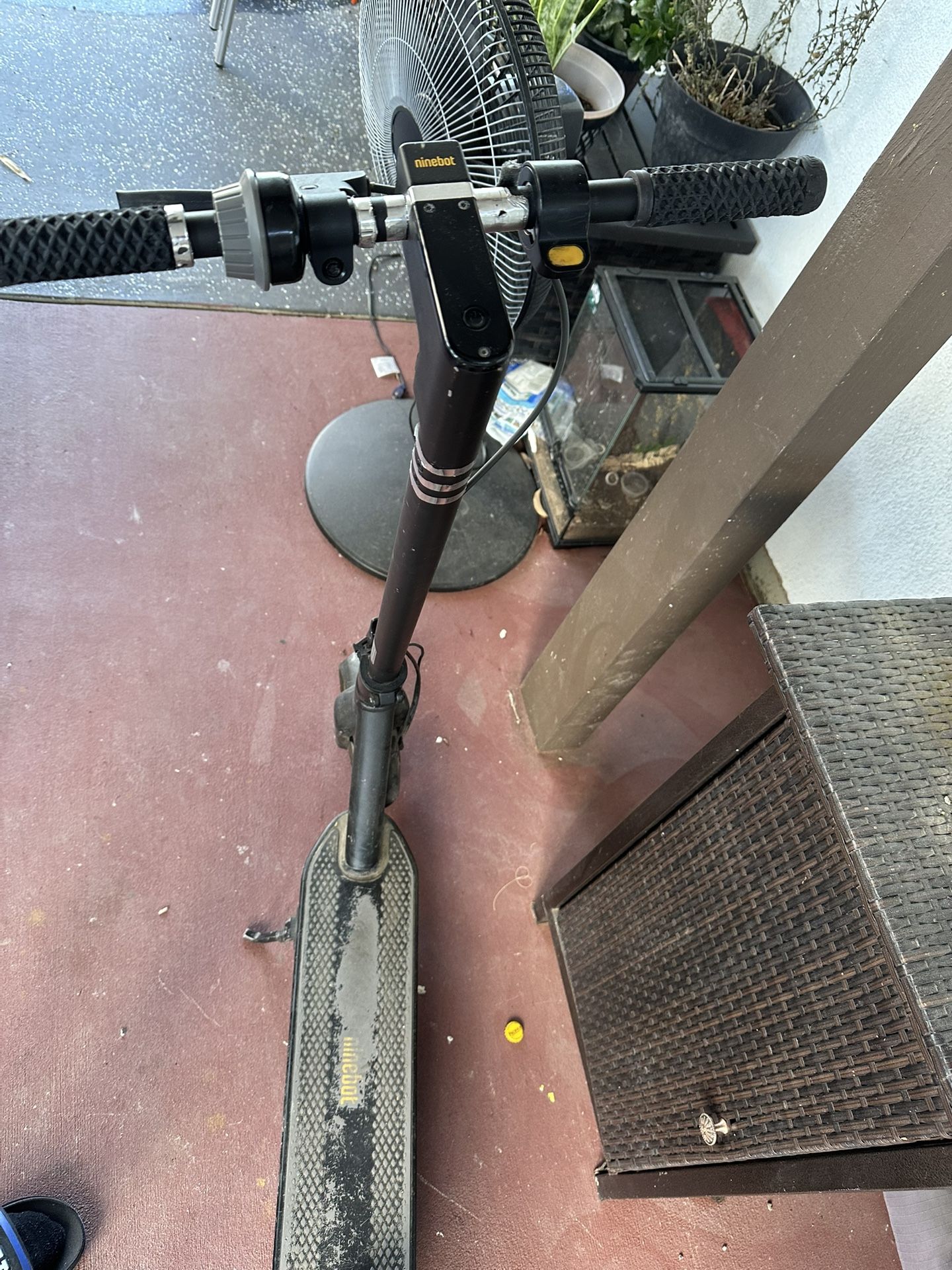 Ninebot Scooter