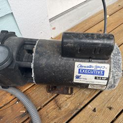 Two hot tub pumps
