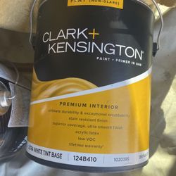 Paint, Clark Kenston paint plus primer in one interior