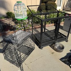 Dog Kennels