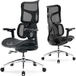 SIHOO Doro S100 Ergonomic Office Chair - Dual Dynamic Lumbar Support, 4D Coordinated Armrests, 5-Level Adjustable Backrest, Recline Angle 135-degree M
