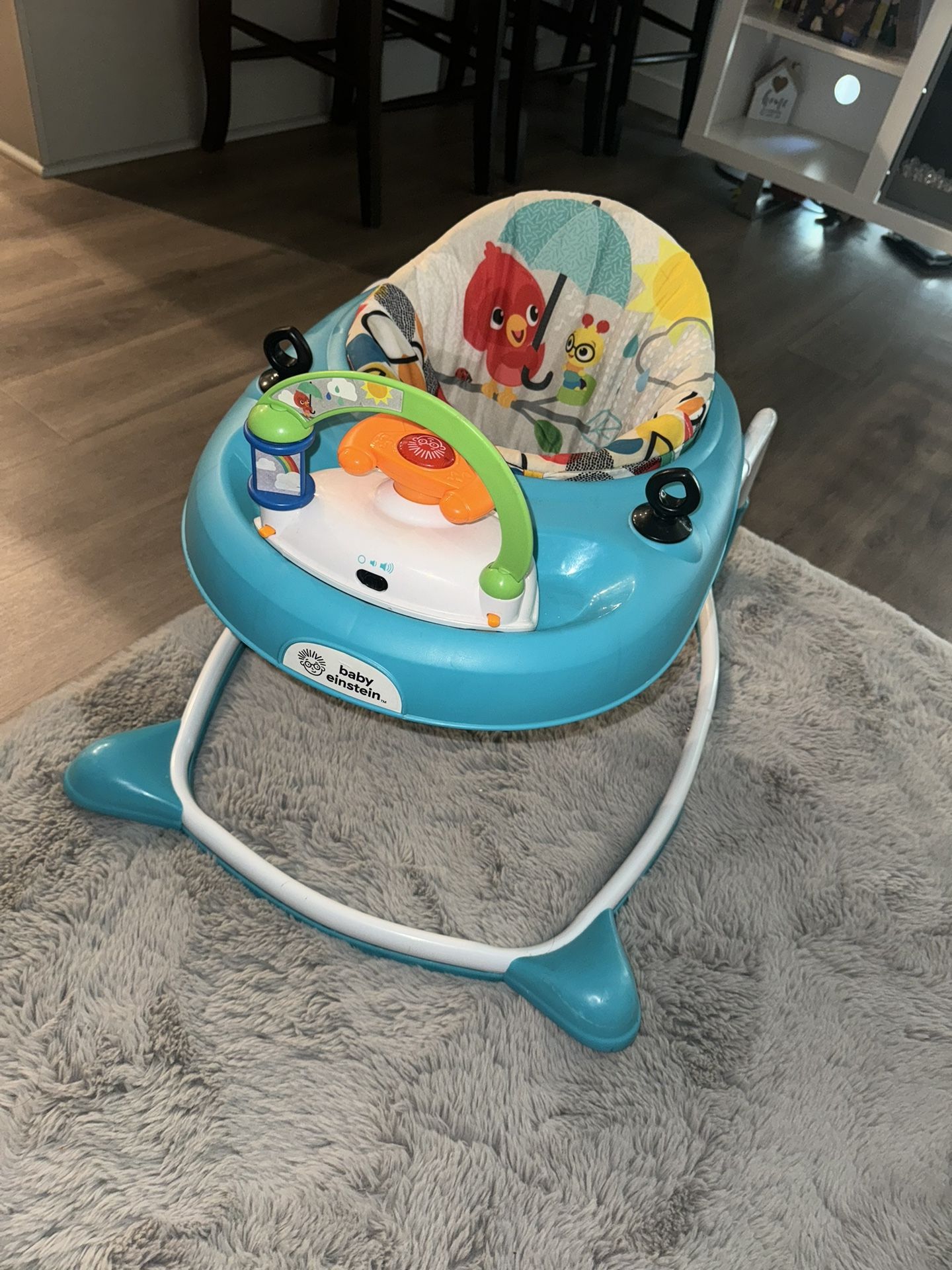 Baby Walker