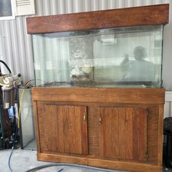 90-gallon glass aquarium