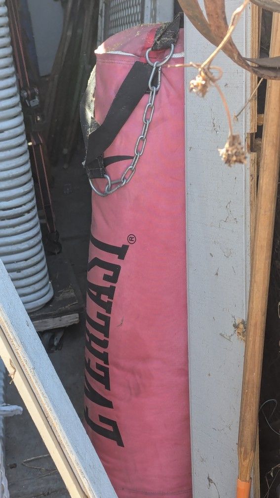 Punching Bag 