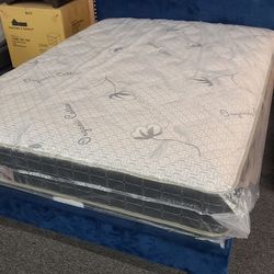 Full Size Mattress & Box Spring