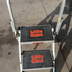 Little Giant Step Ladder 