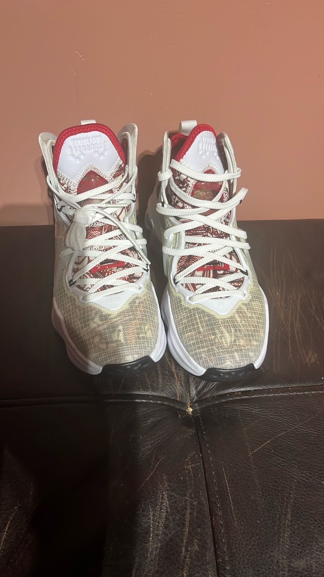 Nike LeBron 