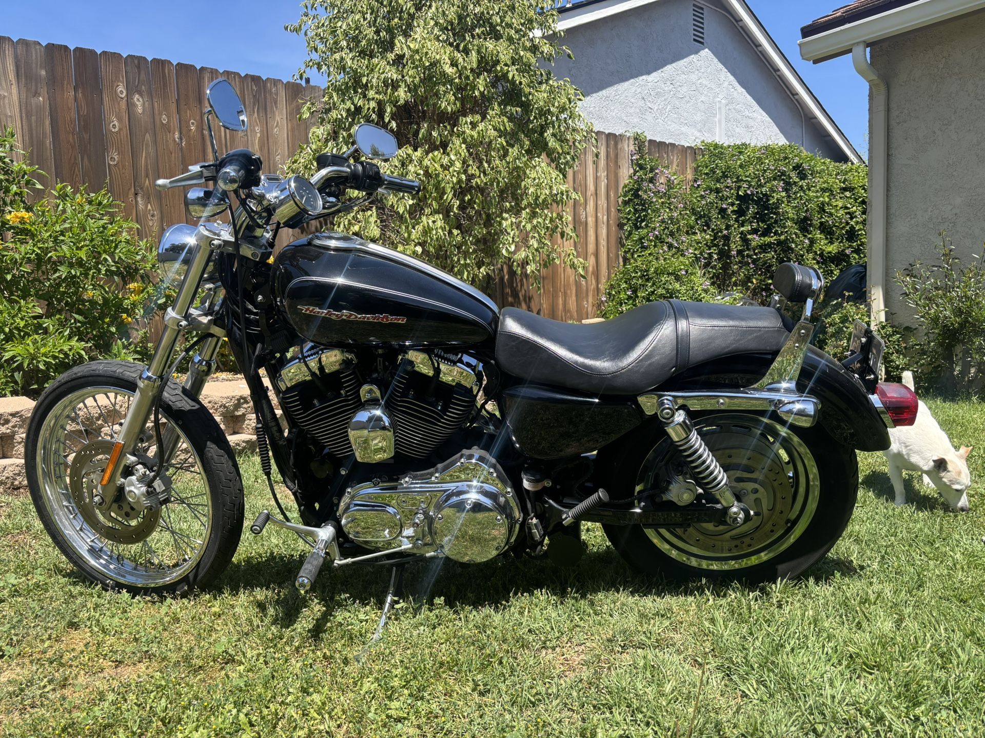 2007 Harley Davidson Sportster 1200c