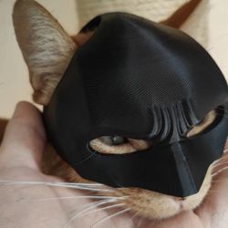 Batman Pet Cat Mask
