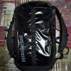 Patagonia Backpack 
