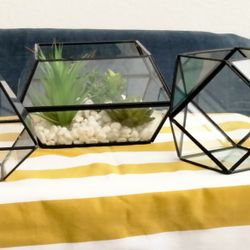 3 Geo-Shaped Terrariums