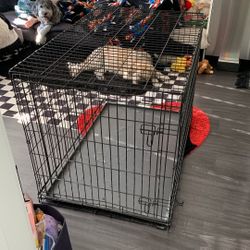 Used Dog Crate 