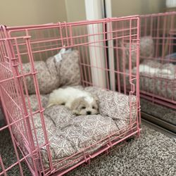 Pink Dog Crate