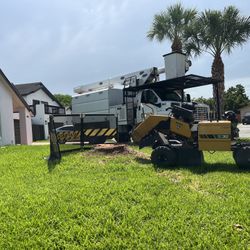 Stump Grinding 