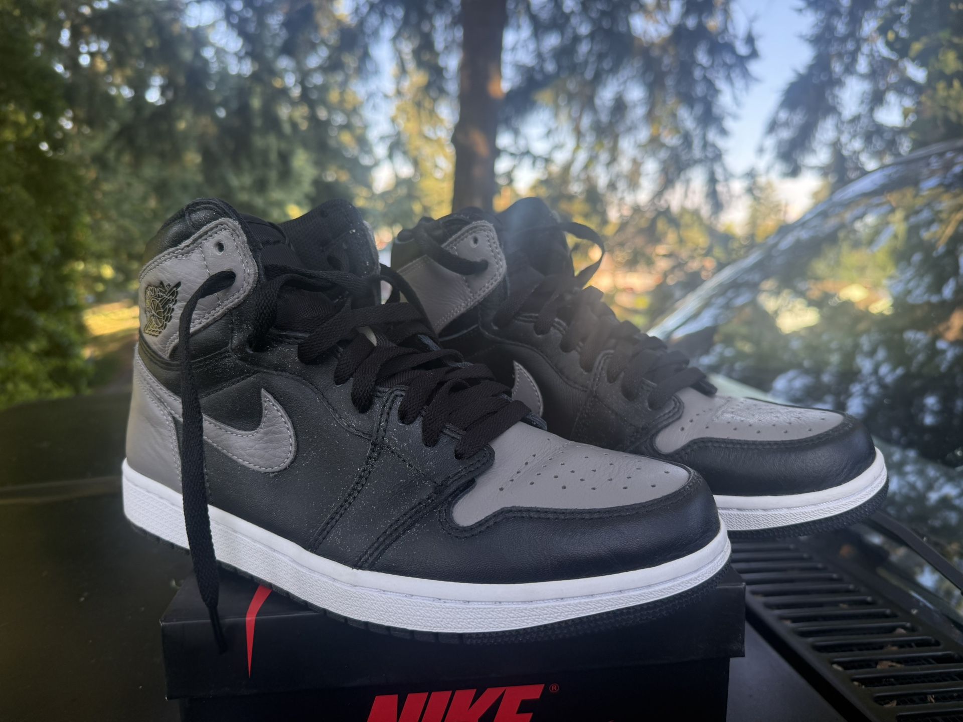 Nike Air Jordan Shadow 1