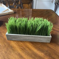 Grass succulent fake
