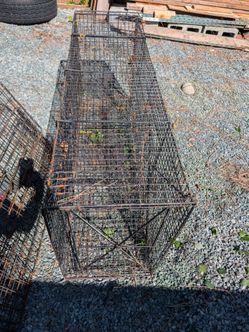 Cage trap