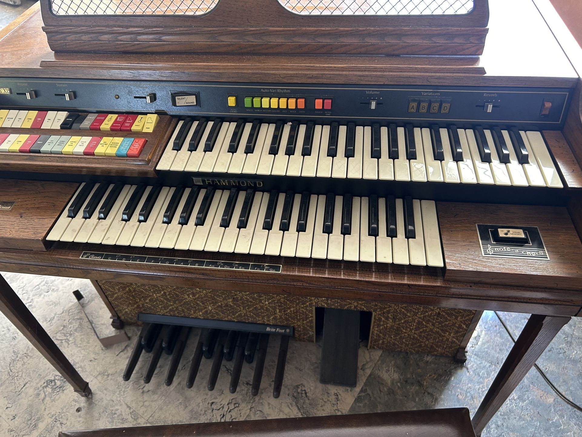 Organ