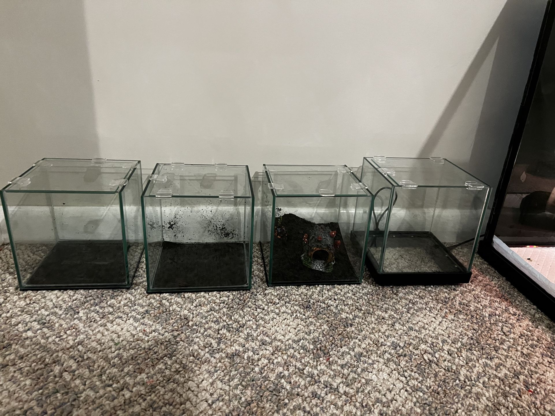1 Gallon Frameless aquarium