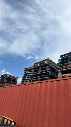 FREE PALLETS AS IS COME PICKUP TODAY