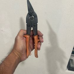 Tin Snips / Cutts Anything 