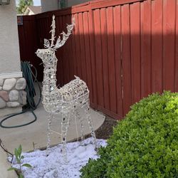 Deer 🦌