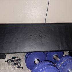 Weights & Bench 